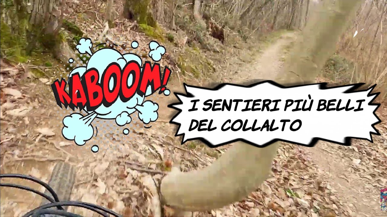 i sentieri più belli del Collalto
