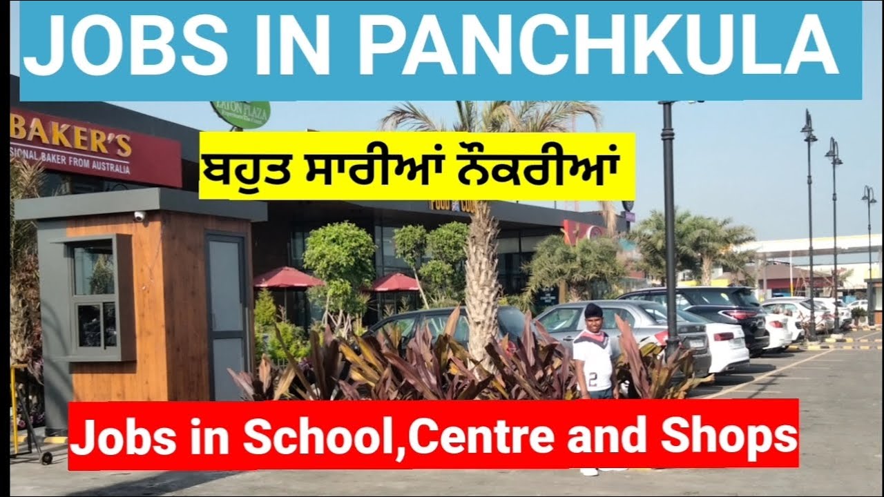 JOBS IN PANCHKULA / PANCHKULA JOBS / NEW JOBS PANCHKULA / ਪੰਚਕੂਲਾ ਦੀਆਂ ਨੌਕਰੀਆਂ / पंचकूला की नौकरियां
