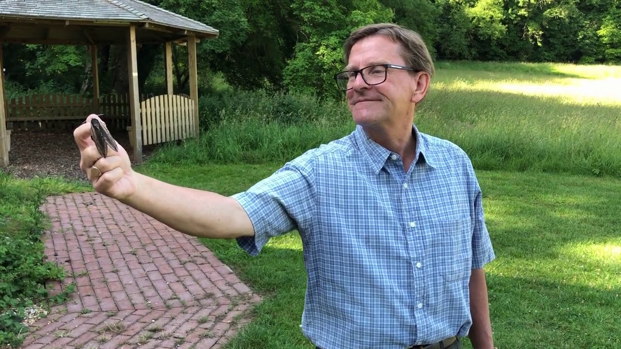 Discovering the Moths of Selborne