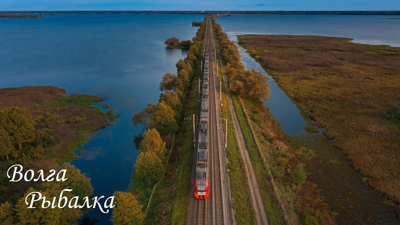 Рыбалка на Волге, река Шоша дамы и господа!! 2025 год.  Тверская обл.  Москва