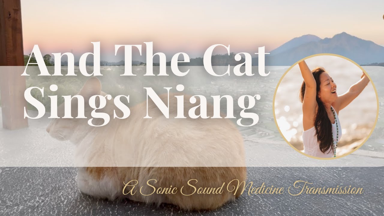 And The Cat Sings Niang | A Sonic Sound Medicine Transmission (GoDivinity Lucy)