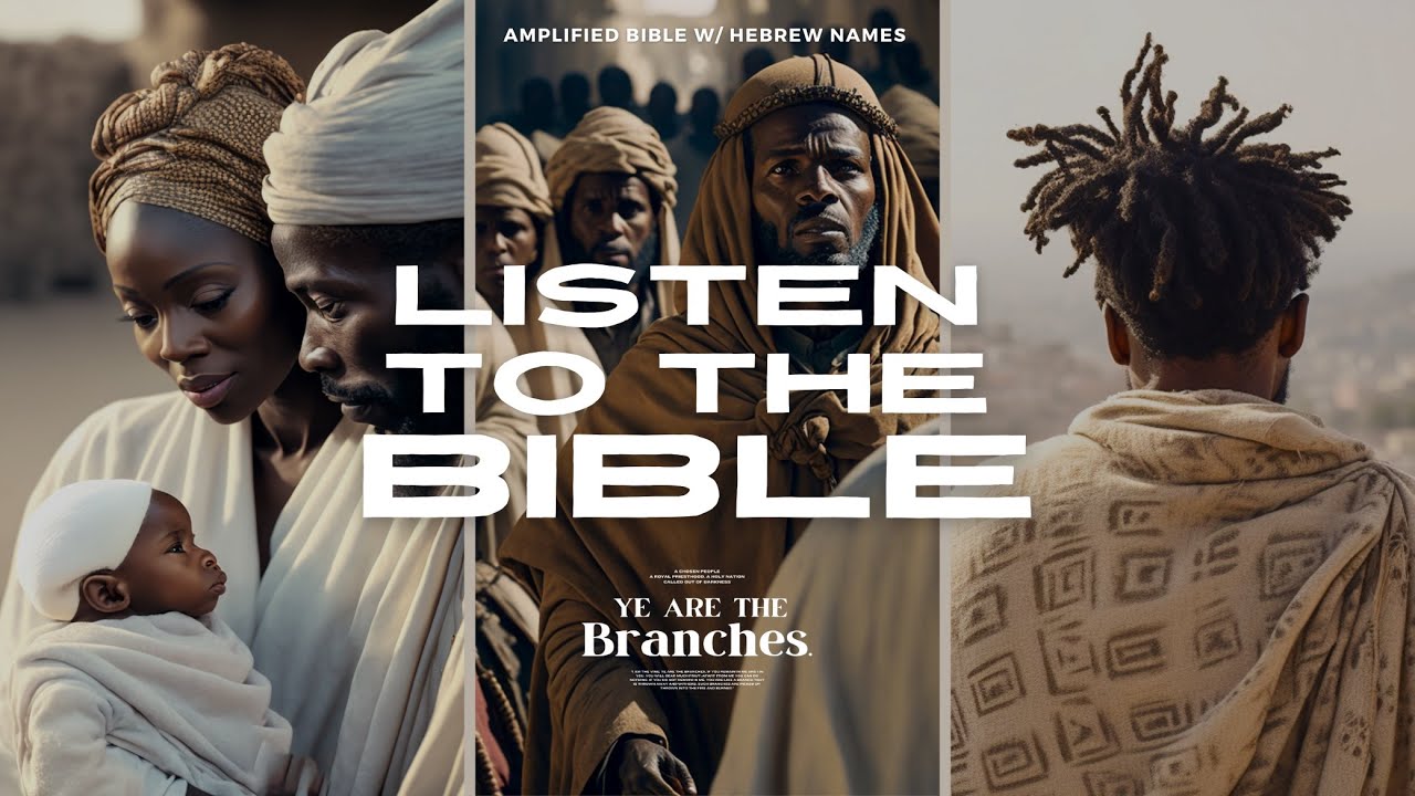 Matthew Chapter Eight // Amplified Bible // Cinematic Music // Ye Are The Branches