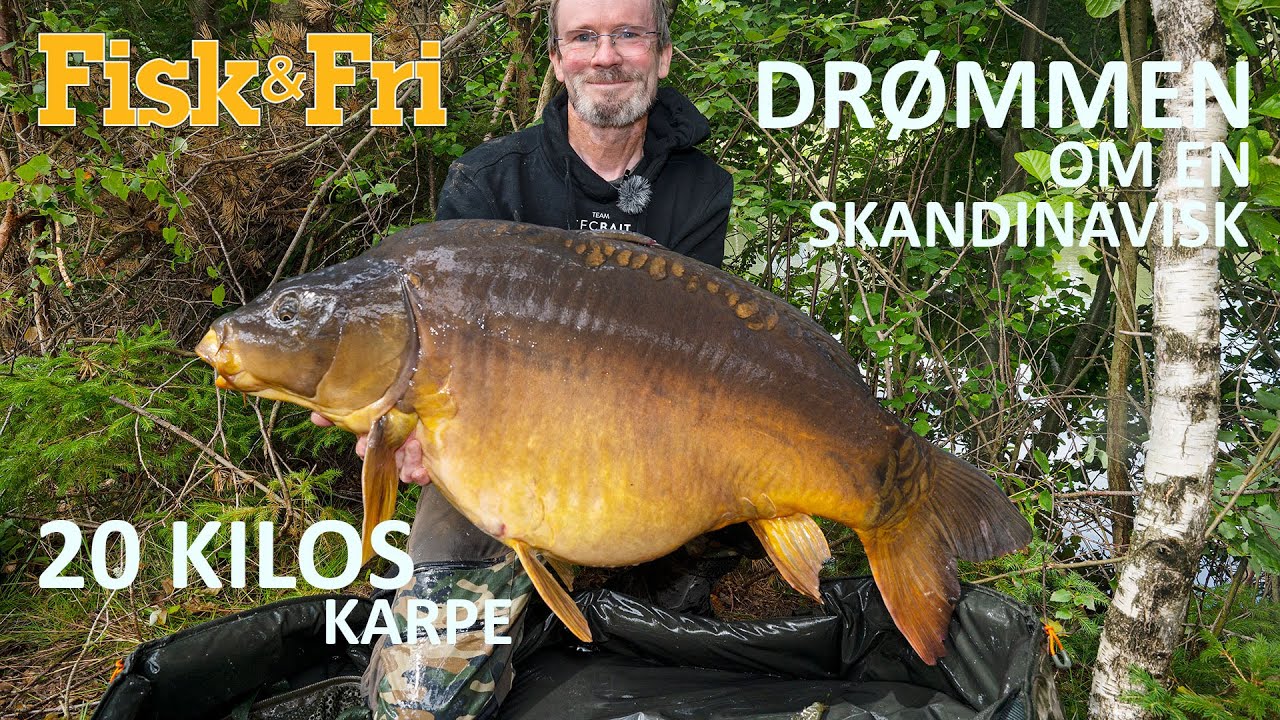 DRØMMEN OM EN SKANDINAVISK 20 KILOS KARPE