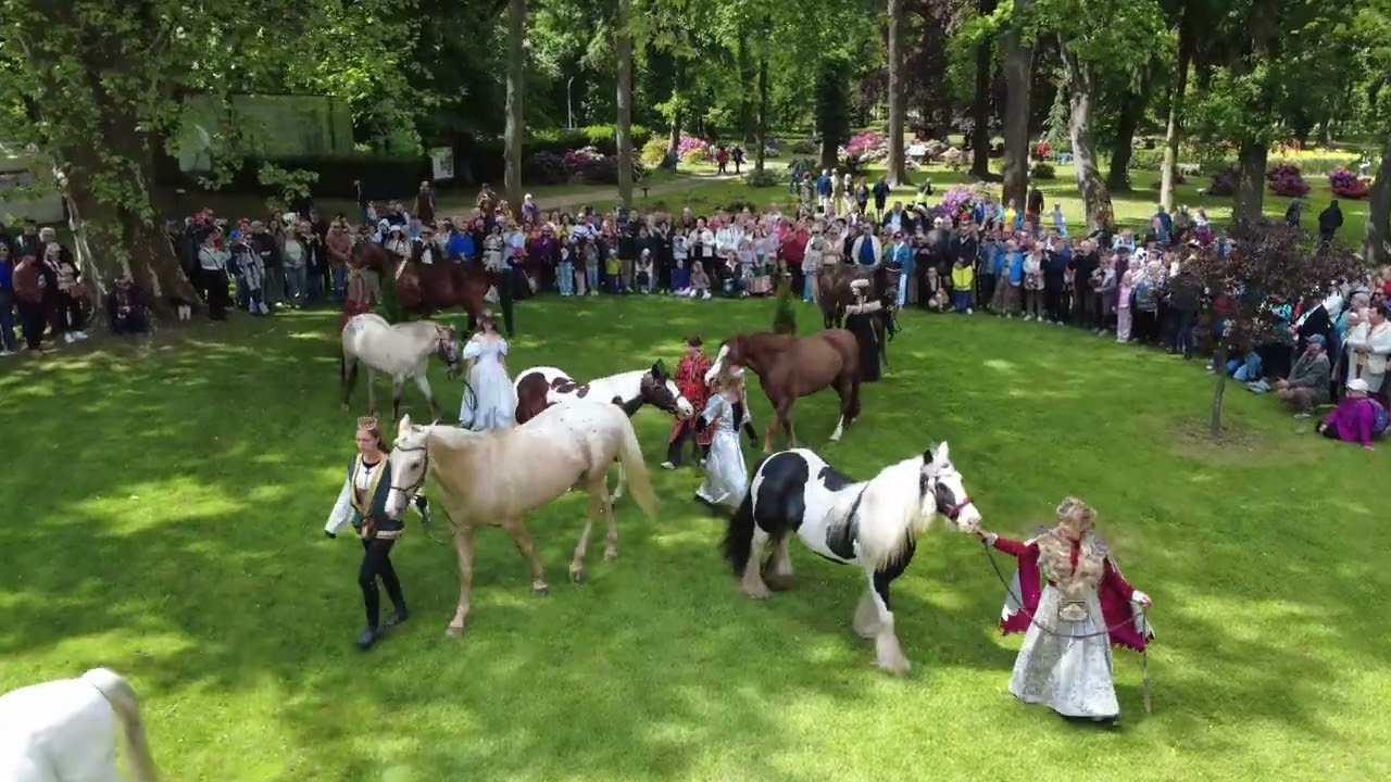 III Festiwal Kwitnących Azalii i Rododendronów w Dalkowie, Polonez z końmi, Dalków, 11.05.2025 r.