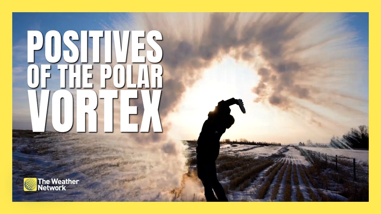 The Unexpected Benefits Of The Polar Vortex