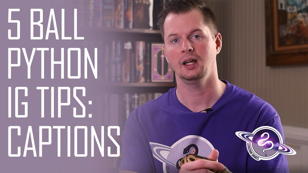5 Ball Python Instagram Tips: Writing Captions