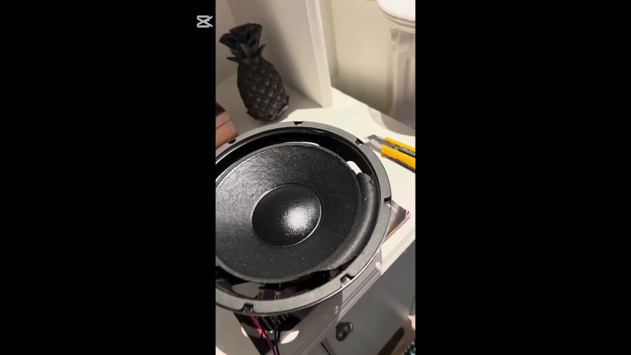 Paradigm PDR-10 base driver repair