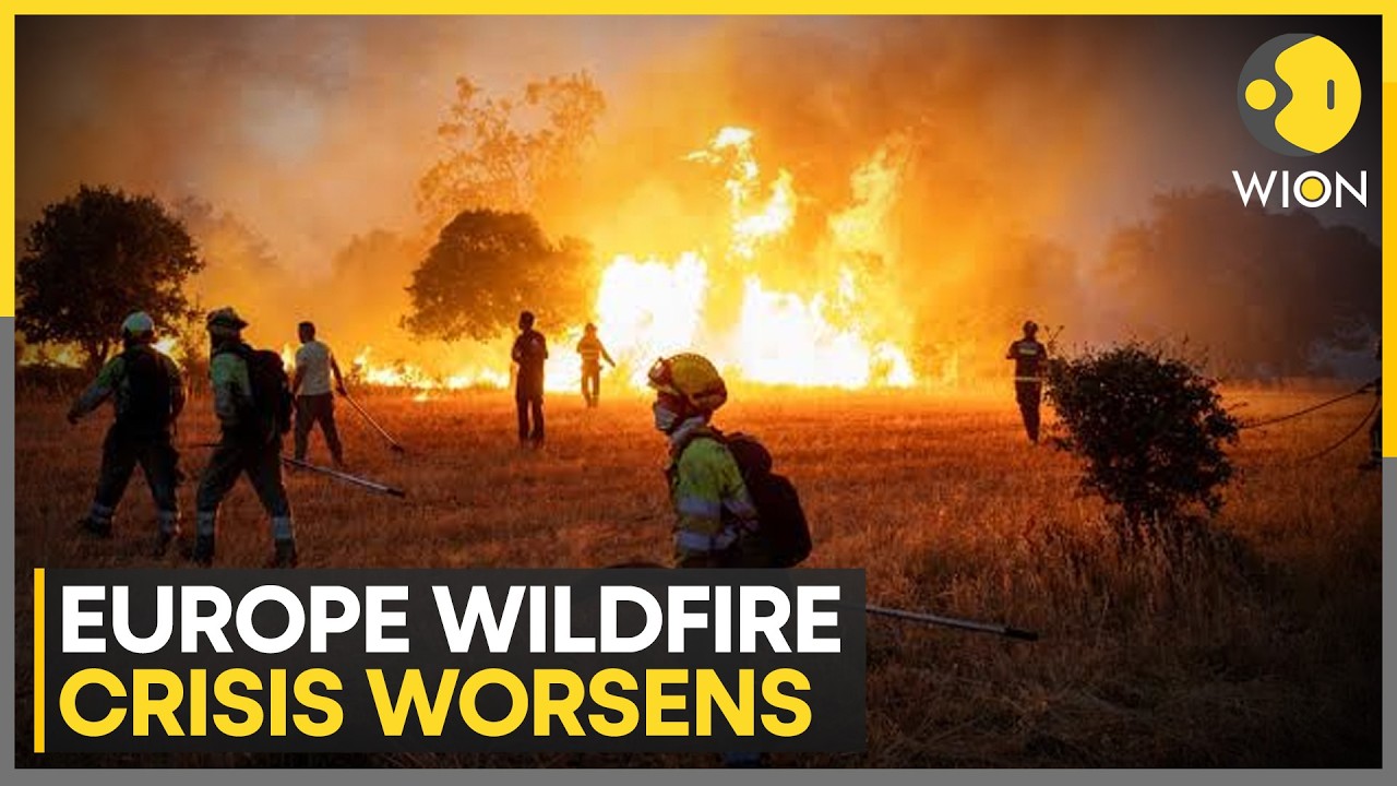 Europe Wildfires Rage On: France, Greece & Netherlands Battle Massive Blazes | Hundreds Arrested