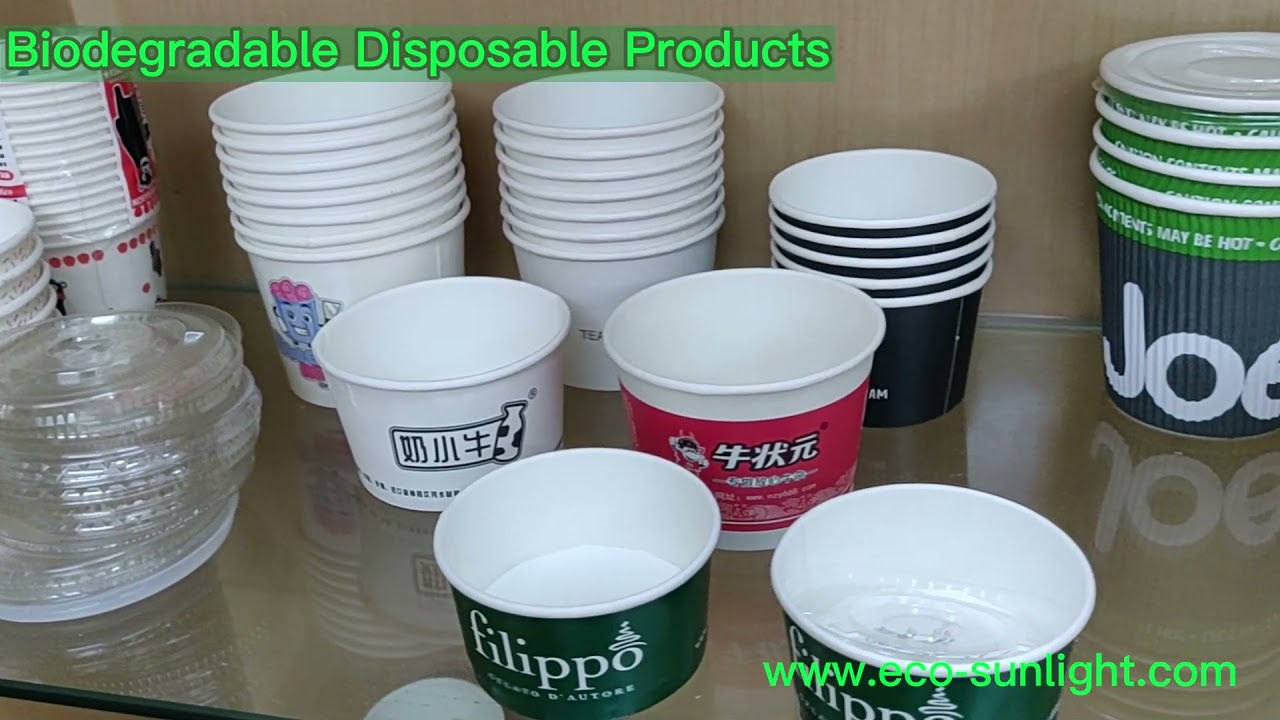 Eco-friendly 100% Biodegradable Compostable kraft paper bowl, cup and OEM made in China