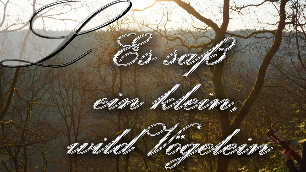Es saß ein klein wild Vögelein | Lorelina | Waldzither | Volkslied (Variation)