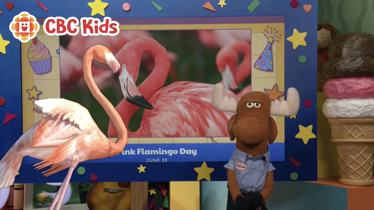 CBC Kids Celebrates June 23, 2026 | Pink Flamingo Day | Learn an Anishinaabemowin Word