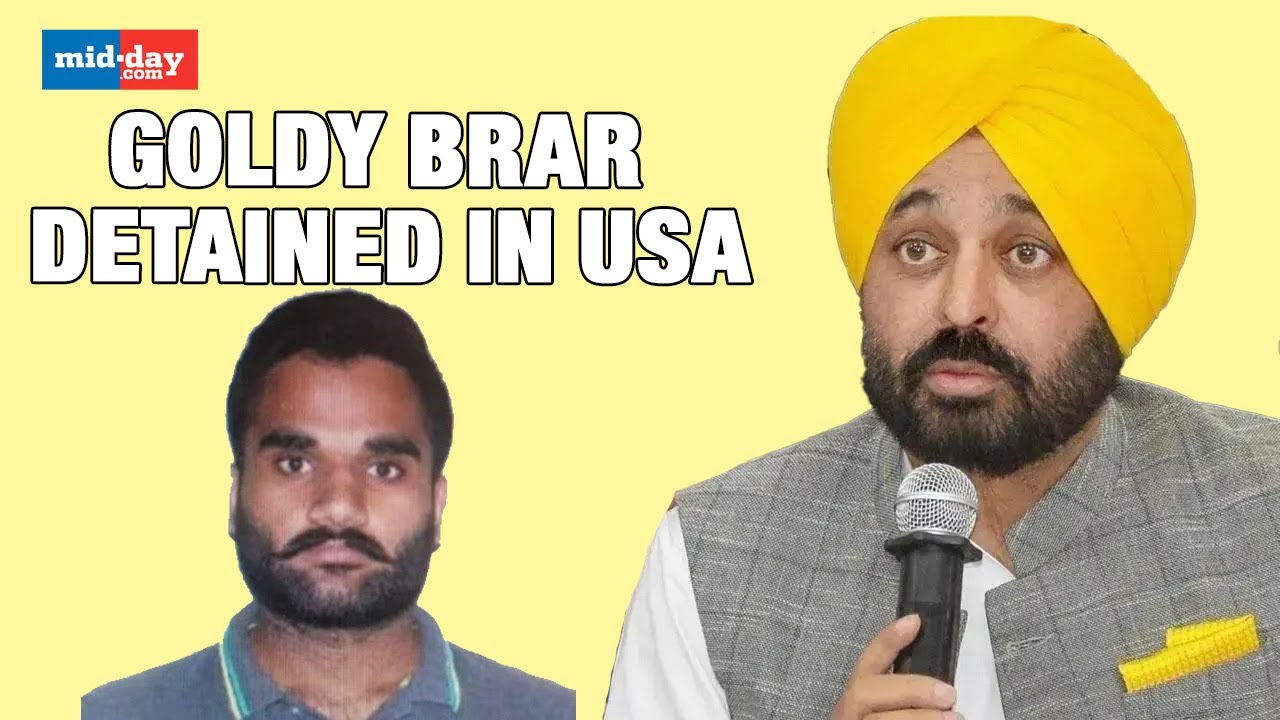 Sidhu Moose Wala Murder: Alleged Mastermind Goldy Brar Detained In US; CM Mann Issued Statement