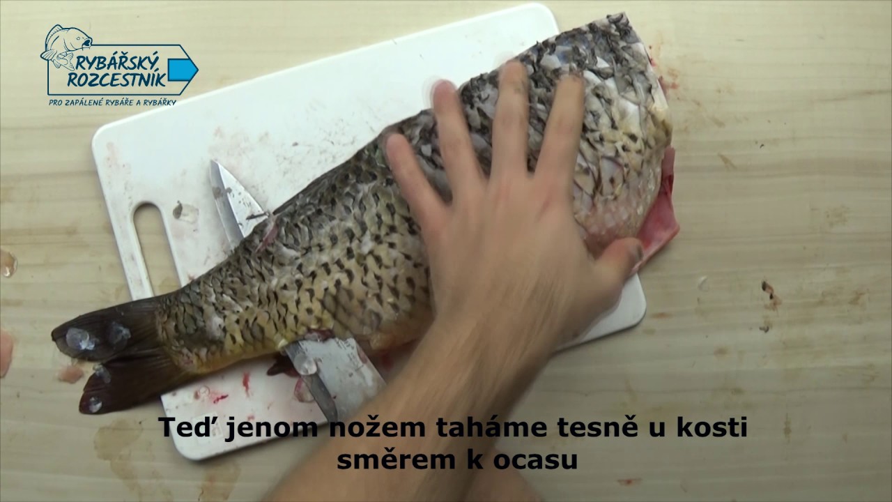 Naporcování kapra na filety