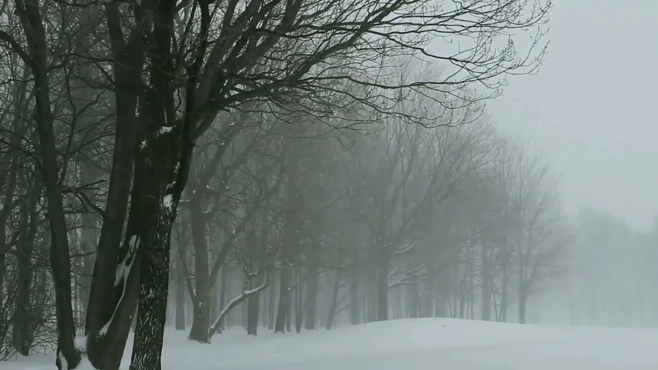 30 Minutes Blizzard Sounds For Sleep | Relaxing-Meditation-Soothing-study 