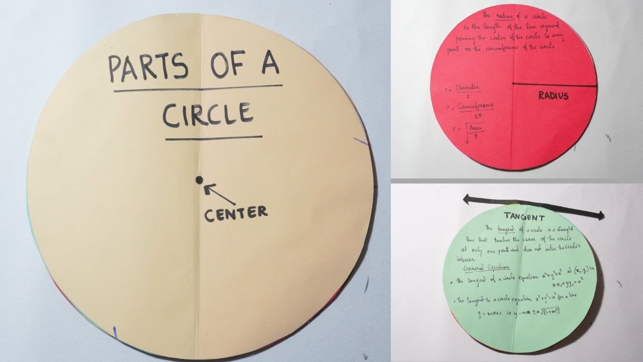 Parts Of Circle| Parts Of Circle Working Model | Maths Model|Maths Project | Maths tlm| Math Project