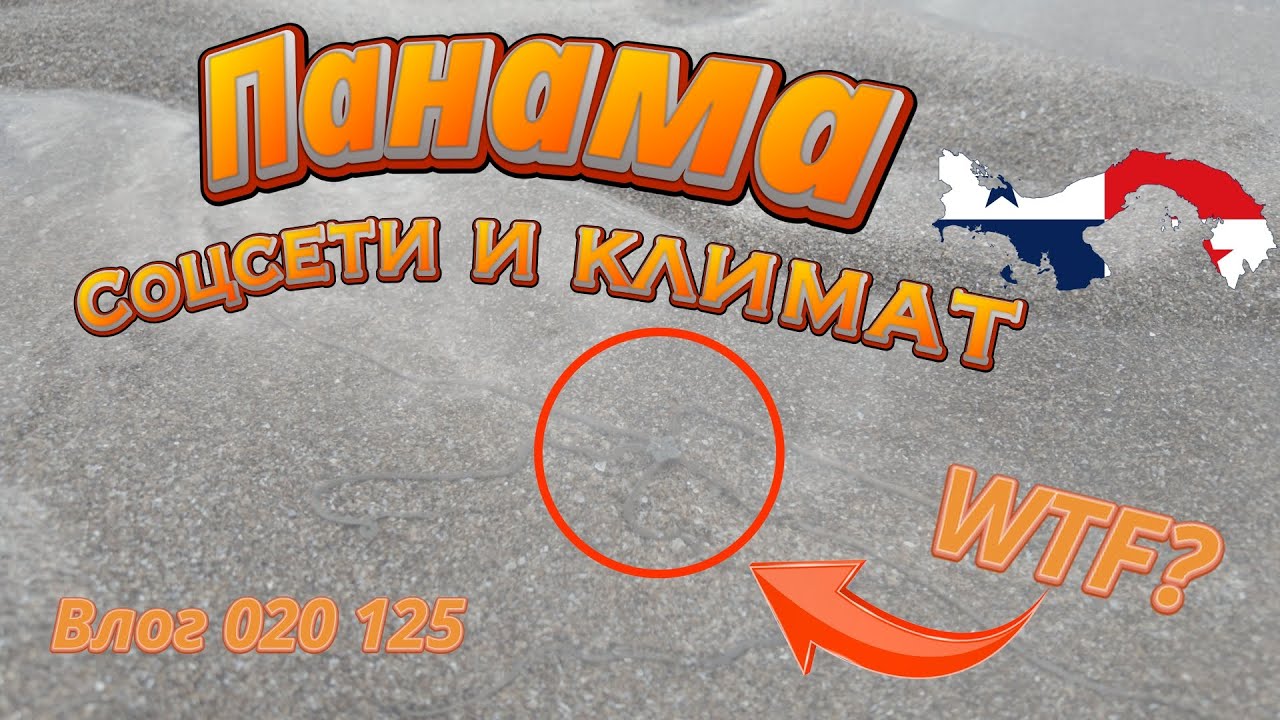 Влог 