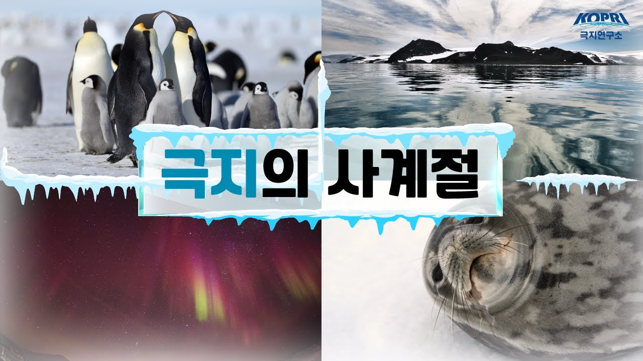 극지의 1년은 12월의 여름부터 시작한다구?