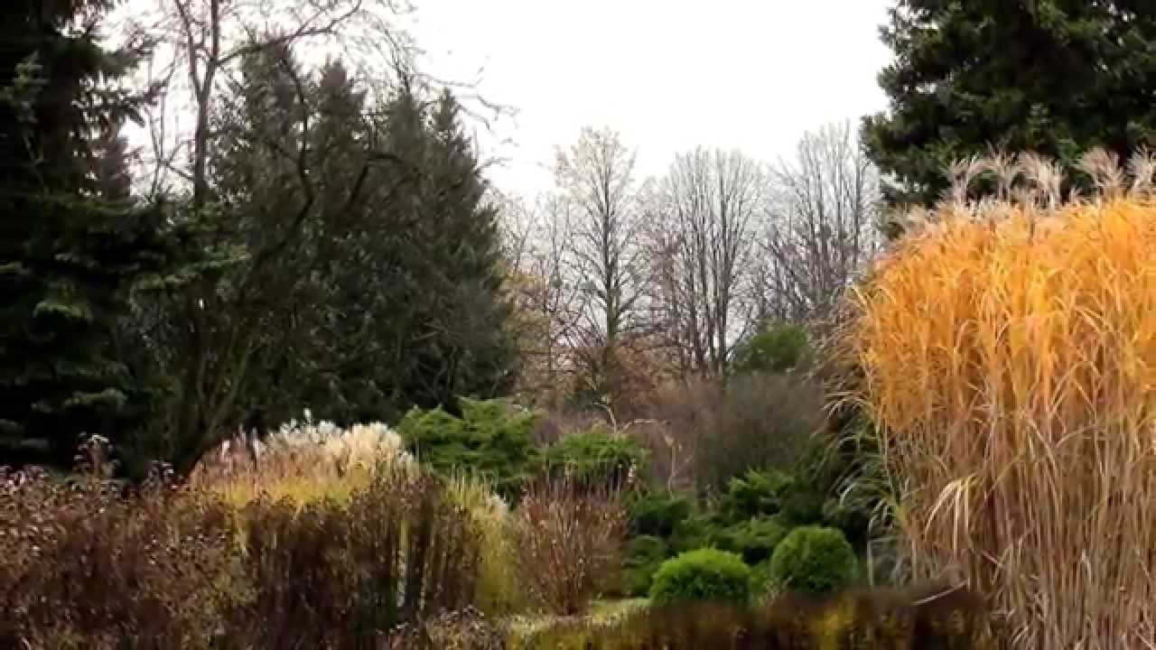 *** EDWARD SIMONI - RELAKS Z PRZYRODĄ ***