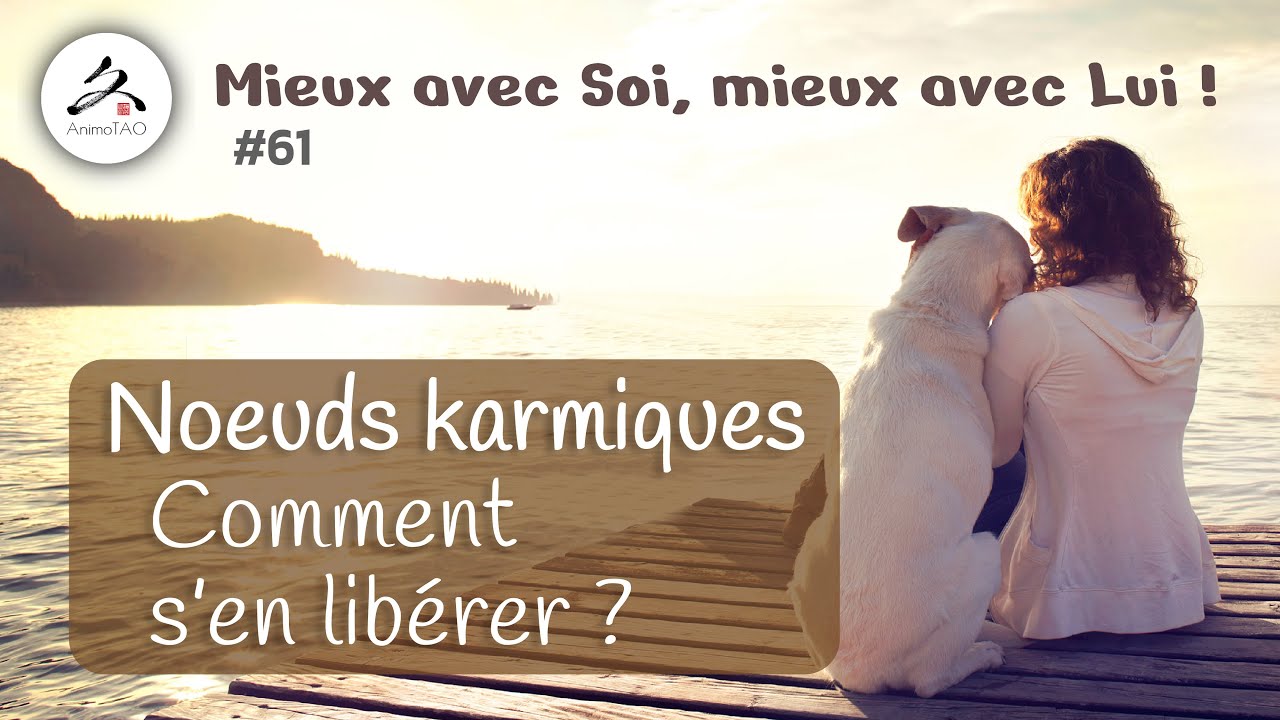 #61 Noeuds Karmiques, la solution est dans votre vie !