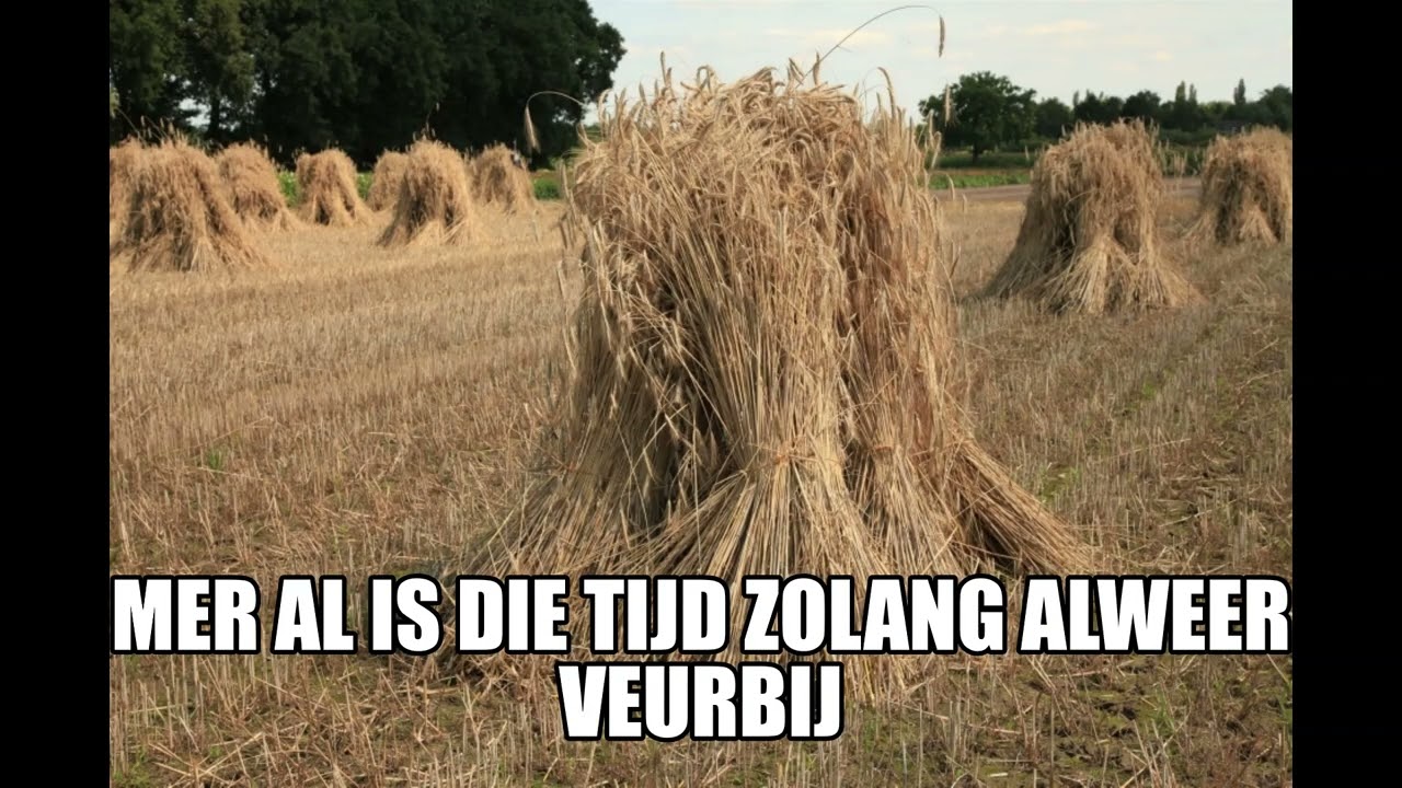 817 Zeilbergs volkslied