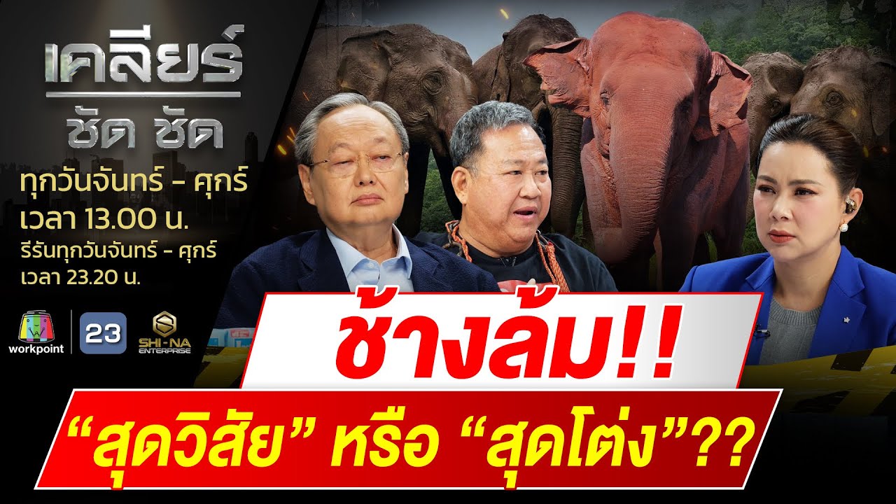 ช้างล้ม บทเรียนสอนใคร สุดวิสัย หรือ สุดโต่ง!! l EP.461 l 7 ต.ค. 67