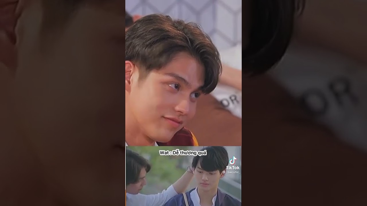 Những thuyền trưởng của chiến hạm BrightWin 🐺🐰❤️|Sưu tầm tiktok tổng hợp #1