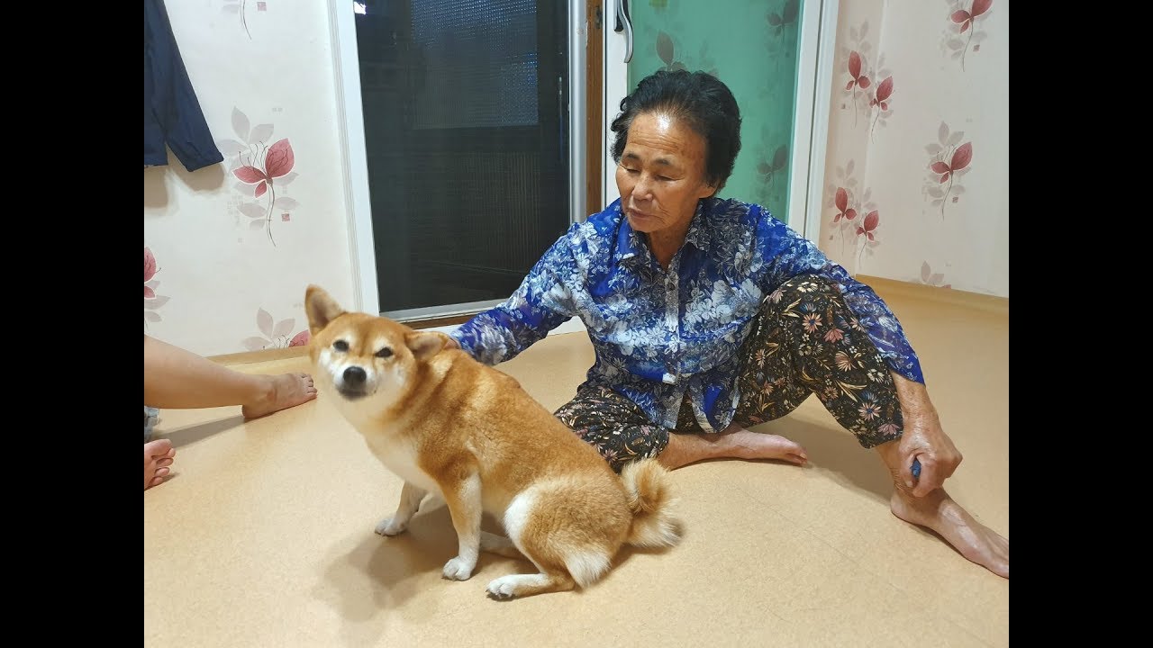 강아지 데려오지 말라던 할머니가 변했어요!