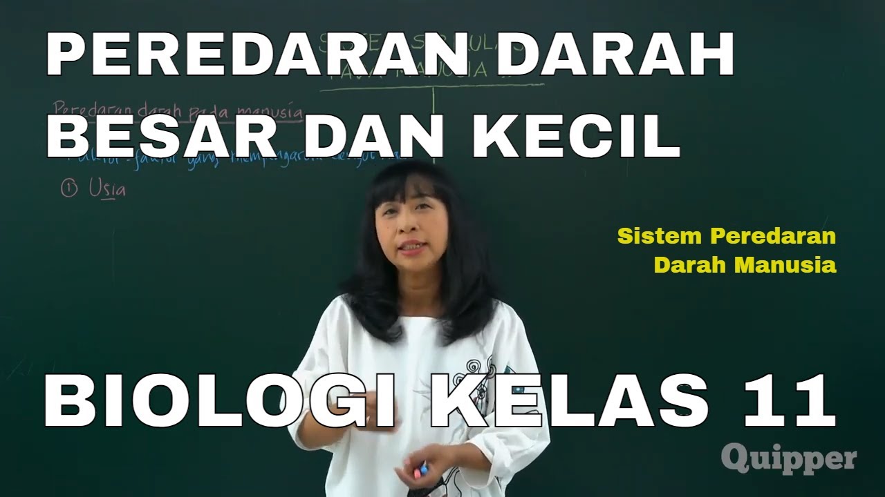 Peredaran Darah Besar & Kecil, Sistem Peredaran Darah Manusia - Biologi Kelas 11 - Quipper Video