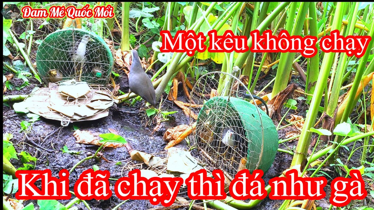 Anh Em nào chưa xem bẩy Quốc.Xem líp này đam mê ngay.