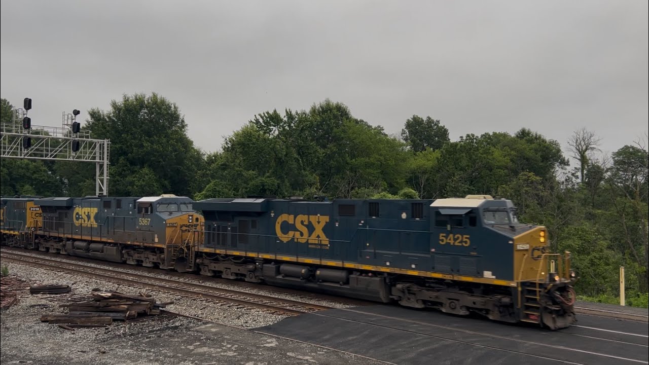 [60 FPS] 13 Trains in 2 Hours Long Bridge Park Arlington Virginia June 2025