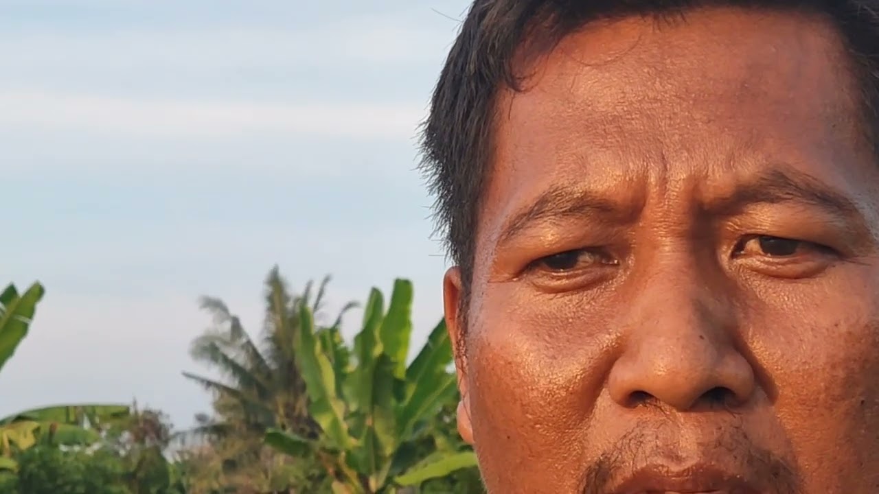 Bukak ke 3 kolm bak Pipit tgl 25/1/2026 tkt 25 RB jam 6 pagi kampung pauh 