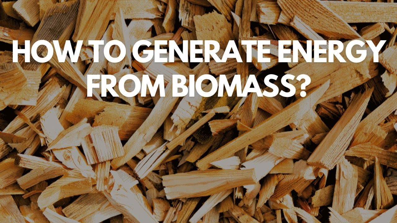 How to generate energy from biomass?