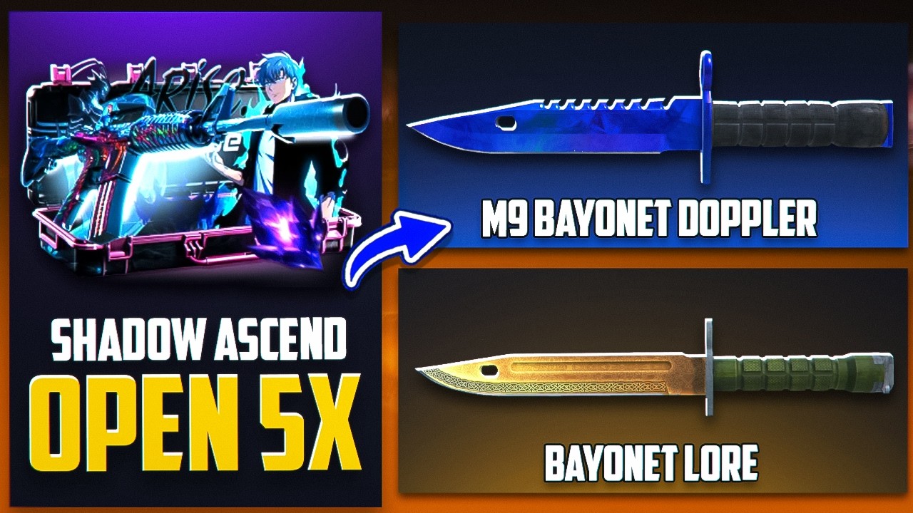 HELLCASE BAYONET LORE PULLS!