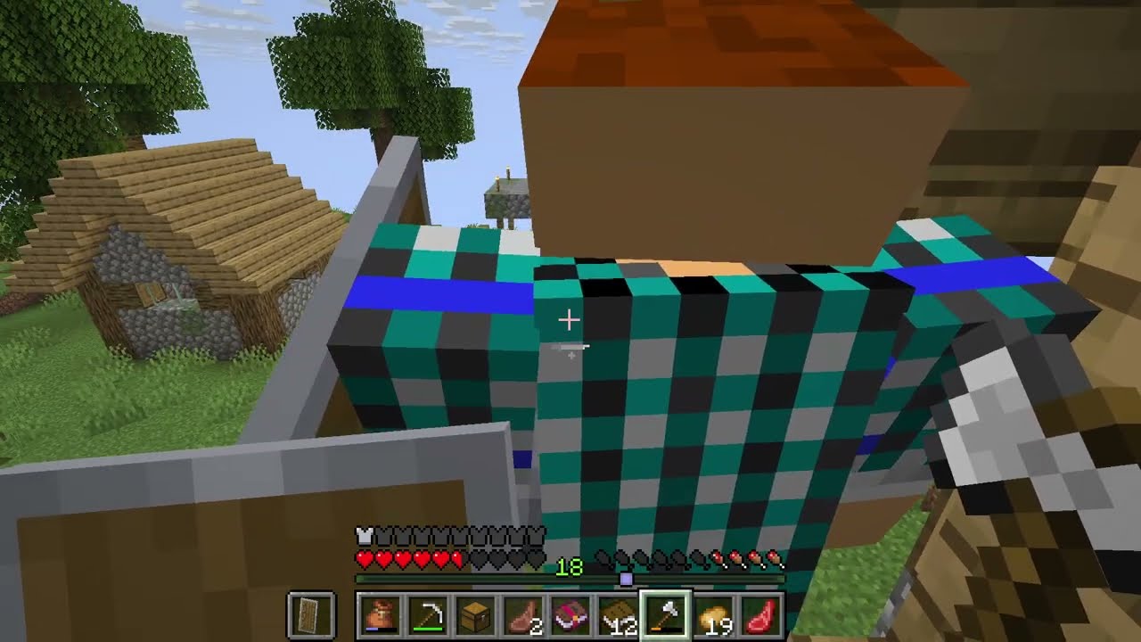 I played in my friends server part2