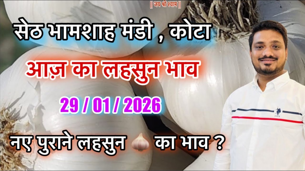आज़ 29/01/2026 का ताज़ा लहसुन भाव । 29 Jan 2026 का कोटा मंडी का लहसुन भाव । सेठ भामाशाह मंडी भाव