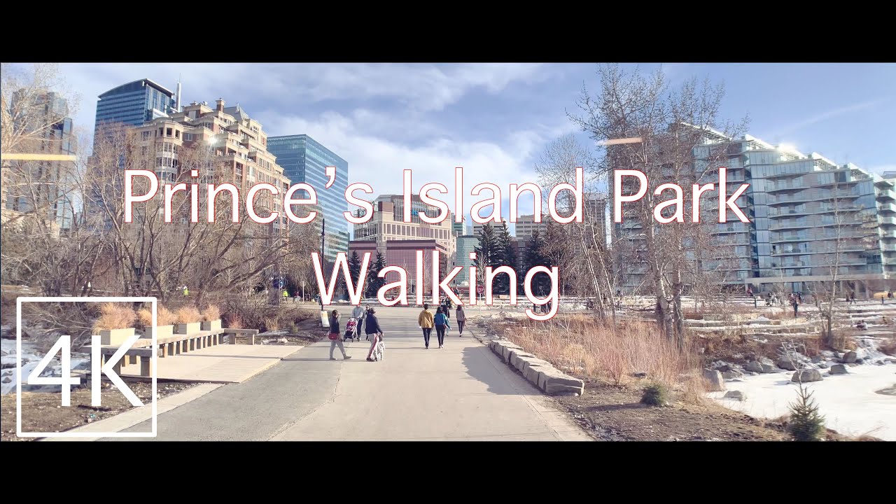 [4K] Walking around Prince's Island Park, Calgary | 대신 걷는 캐나다 | 캘거리 Prince's Island Park 걷기