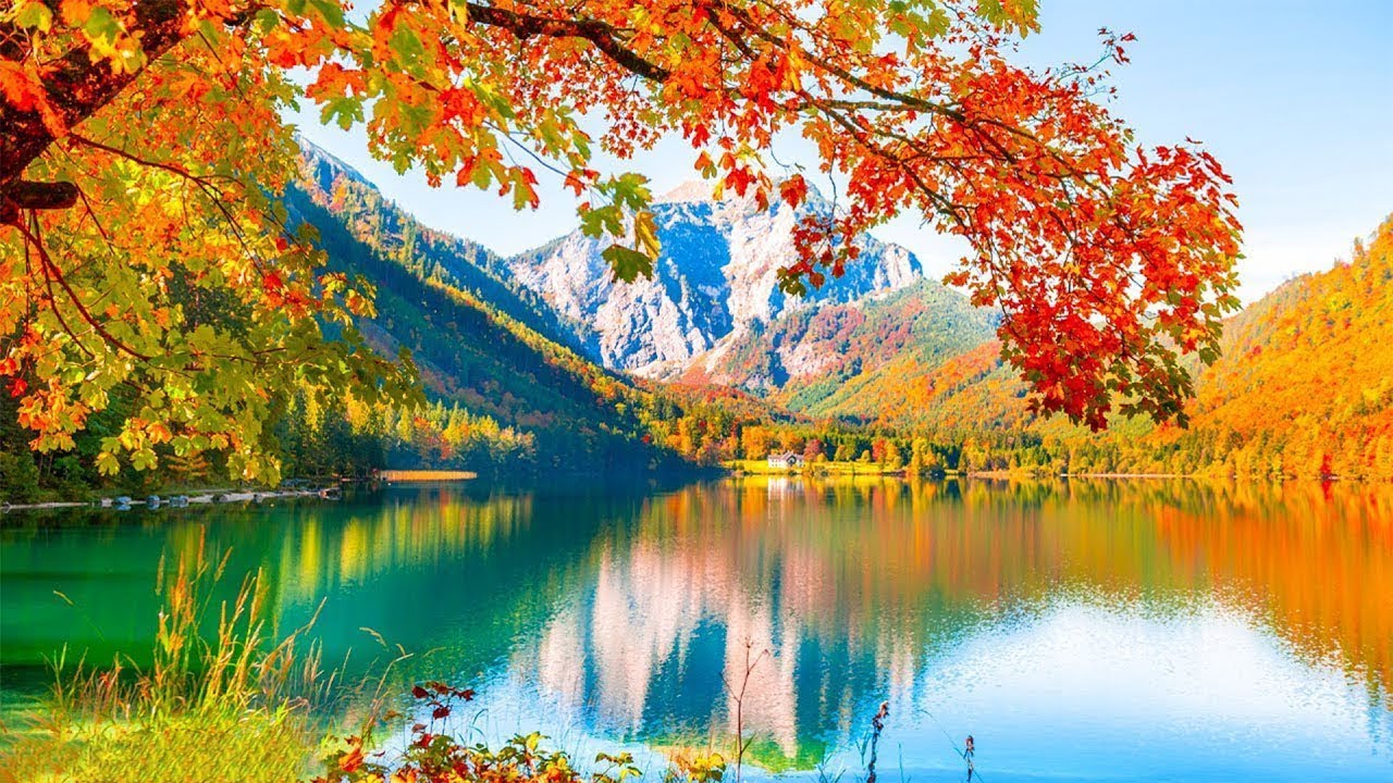 ВОССТАНОВЛЕНИЕ НЕРВНОЙ СИСТЕМЫ 🌿 Нежная музыка, успокаивает нервную систему и радует душу