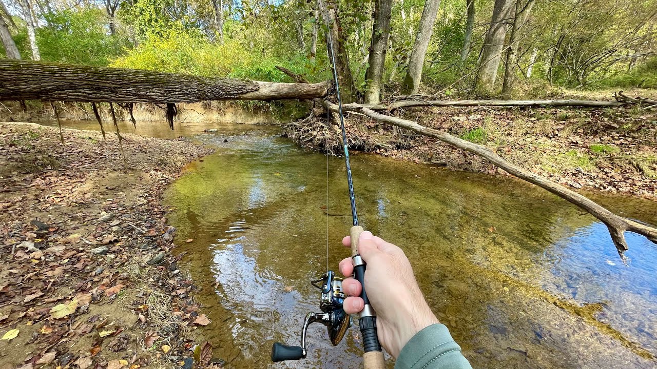 TINY Creek Ultralight TROUT Fishing