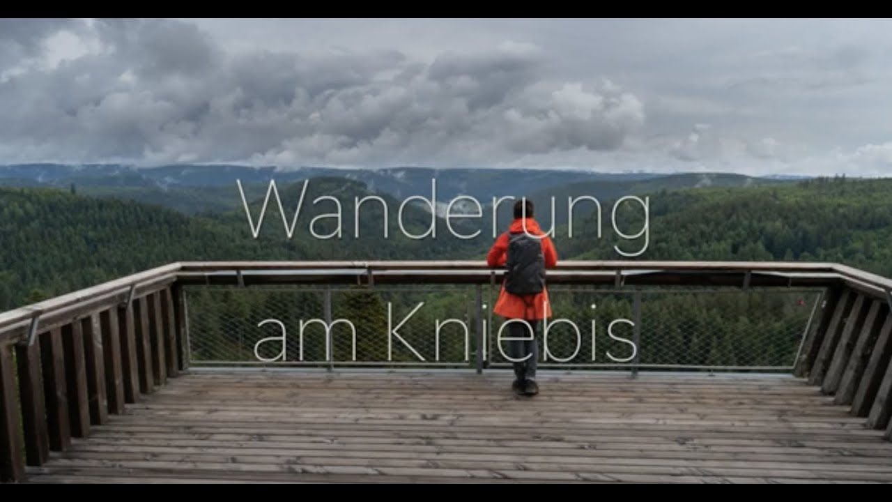 Loches - Wanderung am Kniebis im Schwarzwald / Black Forest