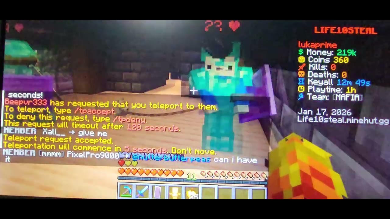 Me and me team for life10steal.