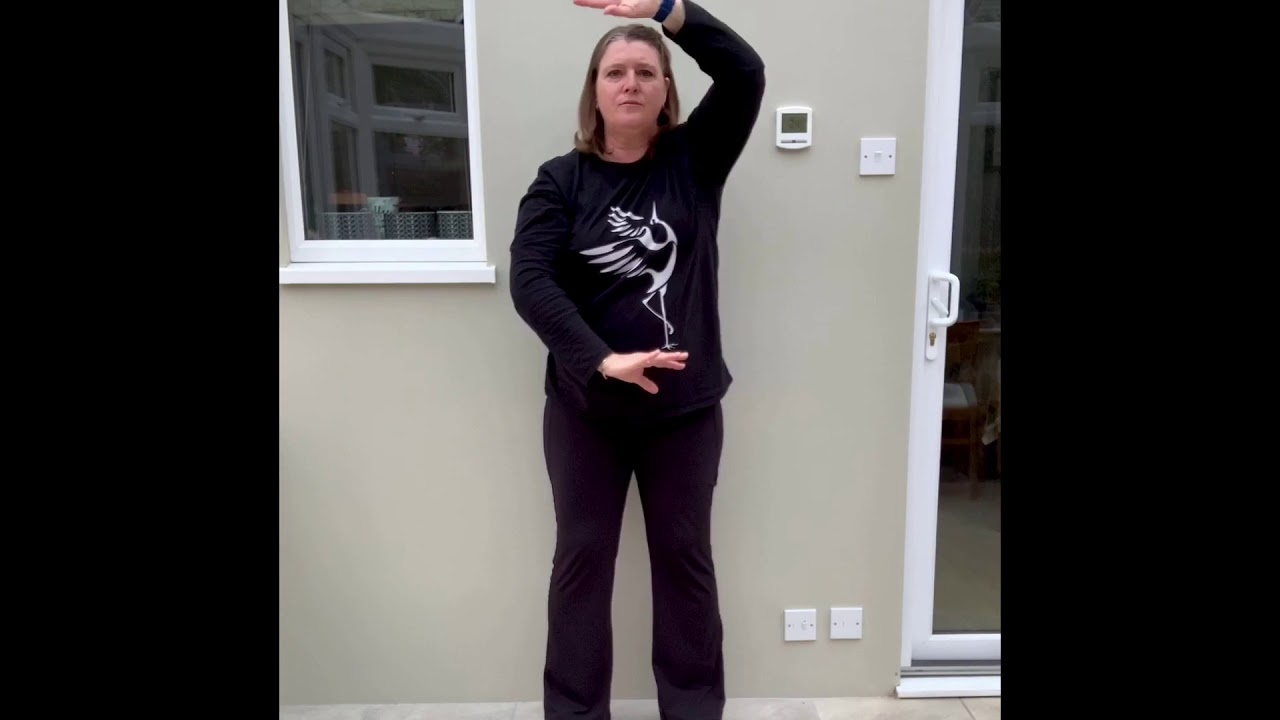 Static Tai Chi Exercises for everyone