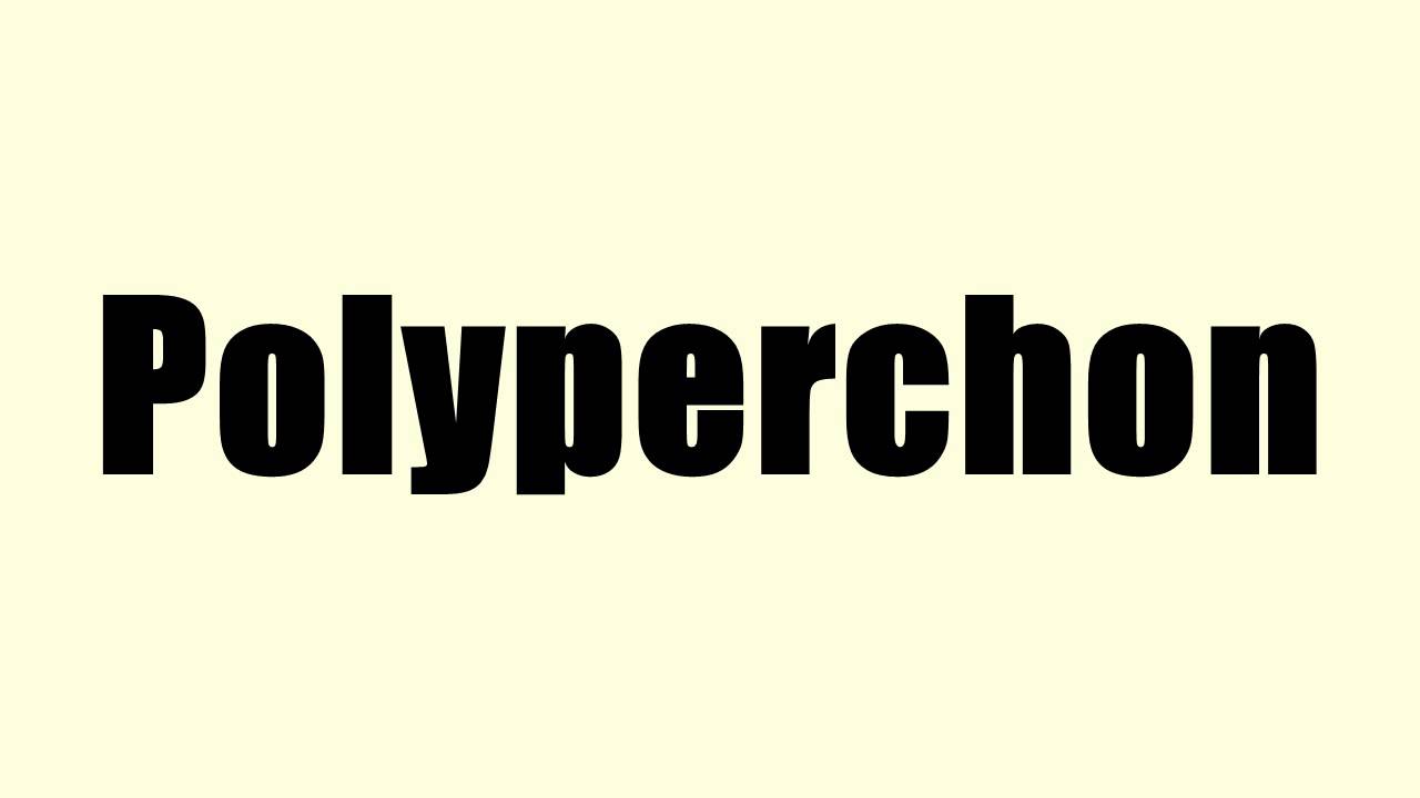 Polyperchon