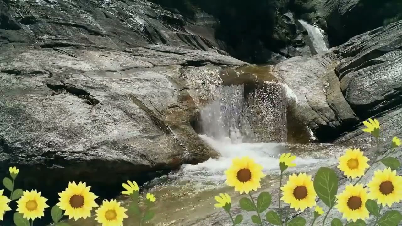 4 Hours of Pure River Relaxation — Deep Sleep, Meditation & Nature Healing Water Sounds