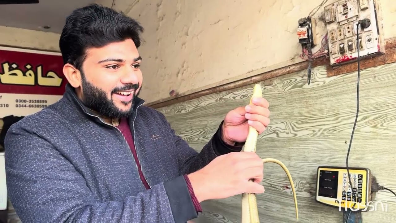 Zinda Anaconda Pakar Liya 😱 | Snake 🐍 | Daily Vlog Hassni