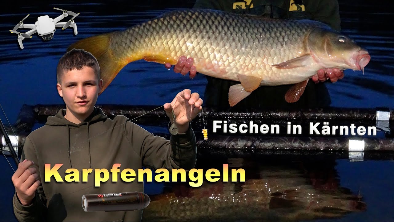 Karpfenangeln - Angeln auf Karpfen vor der Unterwasserkamera und bei Vollmond - Fischen in Kärnten