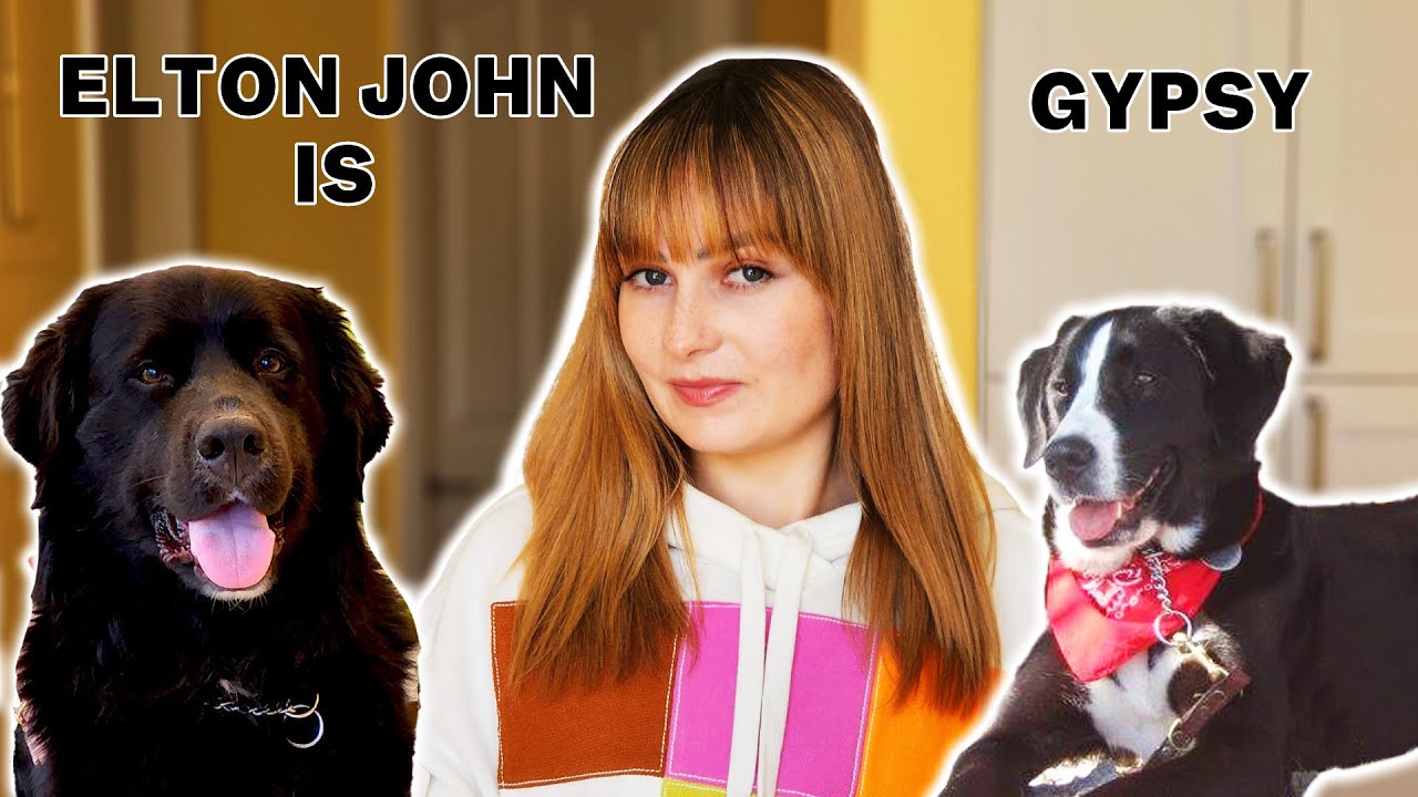 Why I Think My New Guide Dog Is The Reincarnation Of My First Guide Dog!