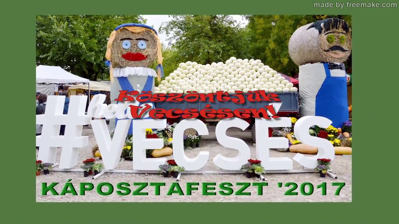 2017 Kaposztafeszt Vecses