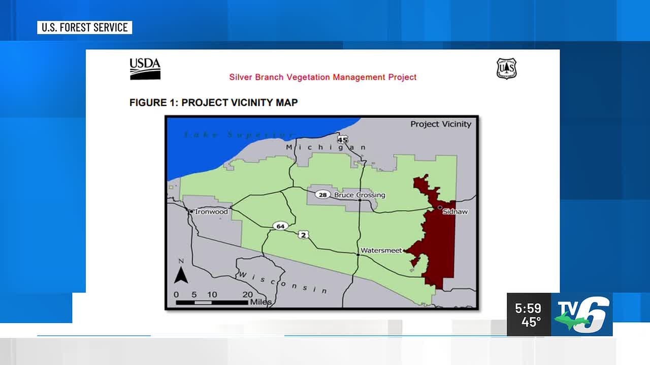 US Forest Service proposes clear cut tree project