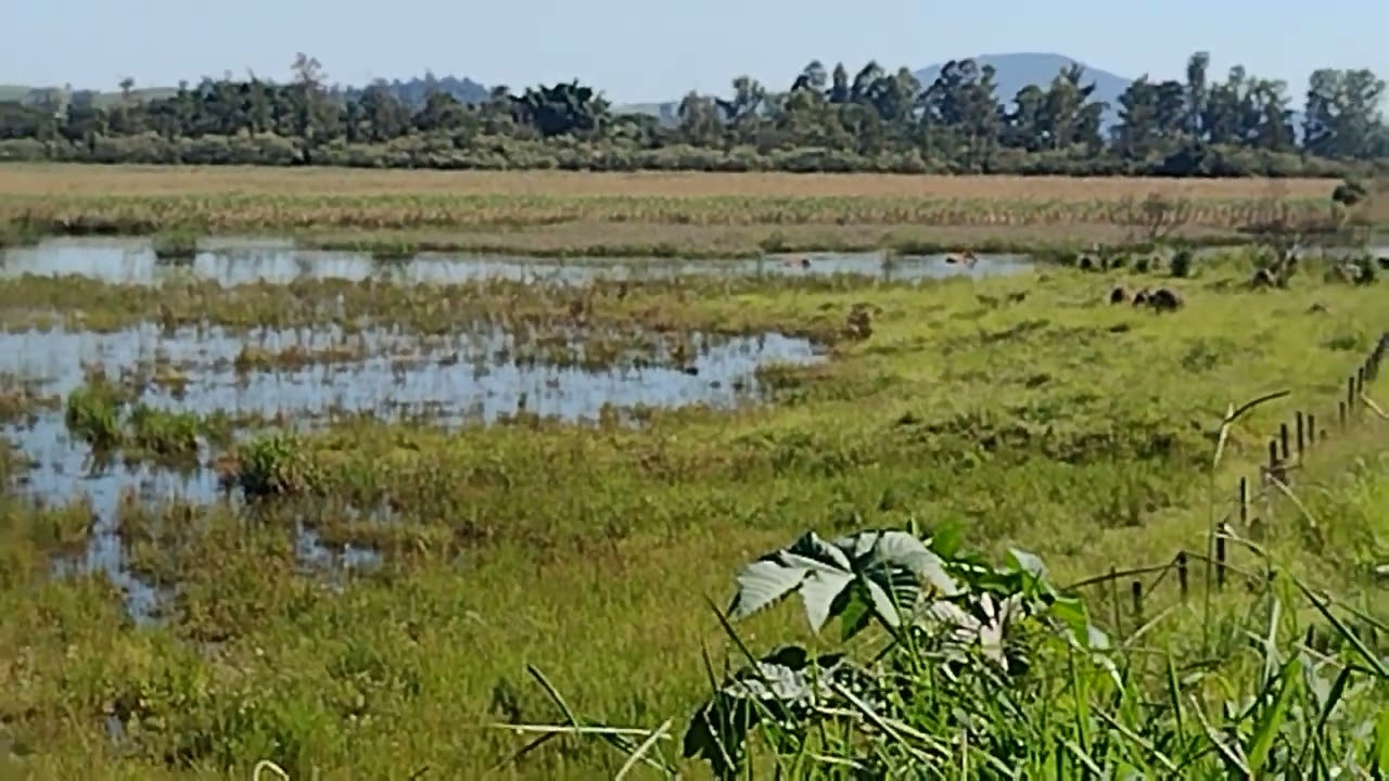 o rio transbordou e encheu a vargem