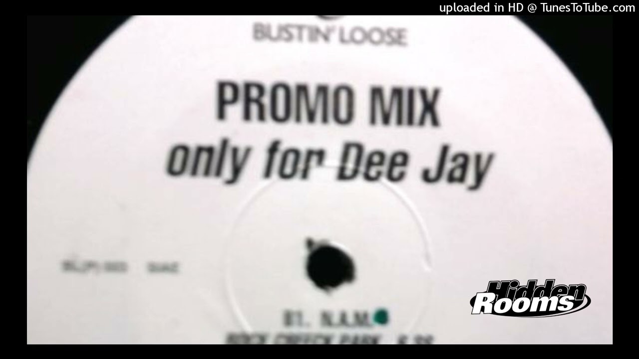 D.W.B.O.Y.S. – Dub Will Be On Your Side (Souledub Mix) (1998)